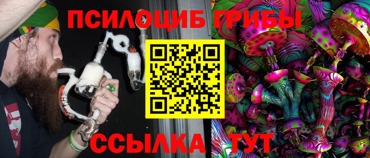 Кызыл  Галлюциногенные грибы Psilocybine cubensis  Вход с VPN 